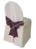 Bow for chair with cover purple