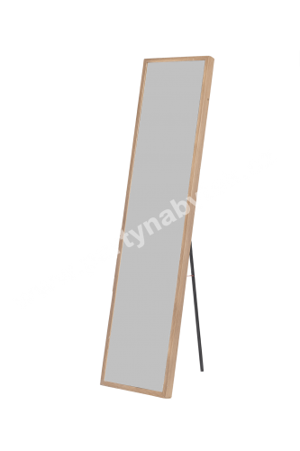 PARTY NÁBYTEK | Půjčovna nábytku, stolů, židlí a vybavení | Ostatní | Zrcadlo velké_1