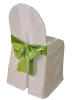 Bow for chair with cover green